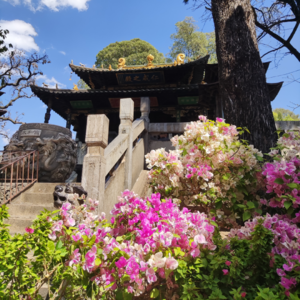 🌼旅行的无意义006｜在昆明的道观感受春天的气息