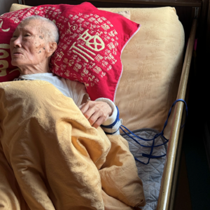 🐯1. 花衣裳 、日记、老后