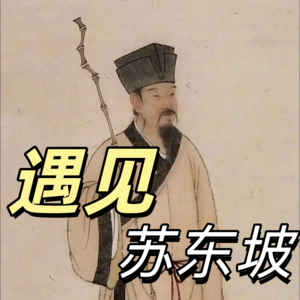 遇见苏东坡：乌台诗案—沈括这个小人 P12