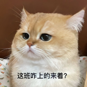 被AI抢饭碗,被同事捅刀子,被老板PUA:打工人自救指南来了?