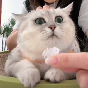 资本市场舆情解读【11月22日】