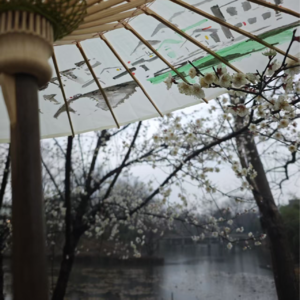 Vol.03 品名篇：寒食共品苏东坡，且将新火试新茶