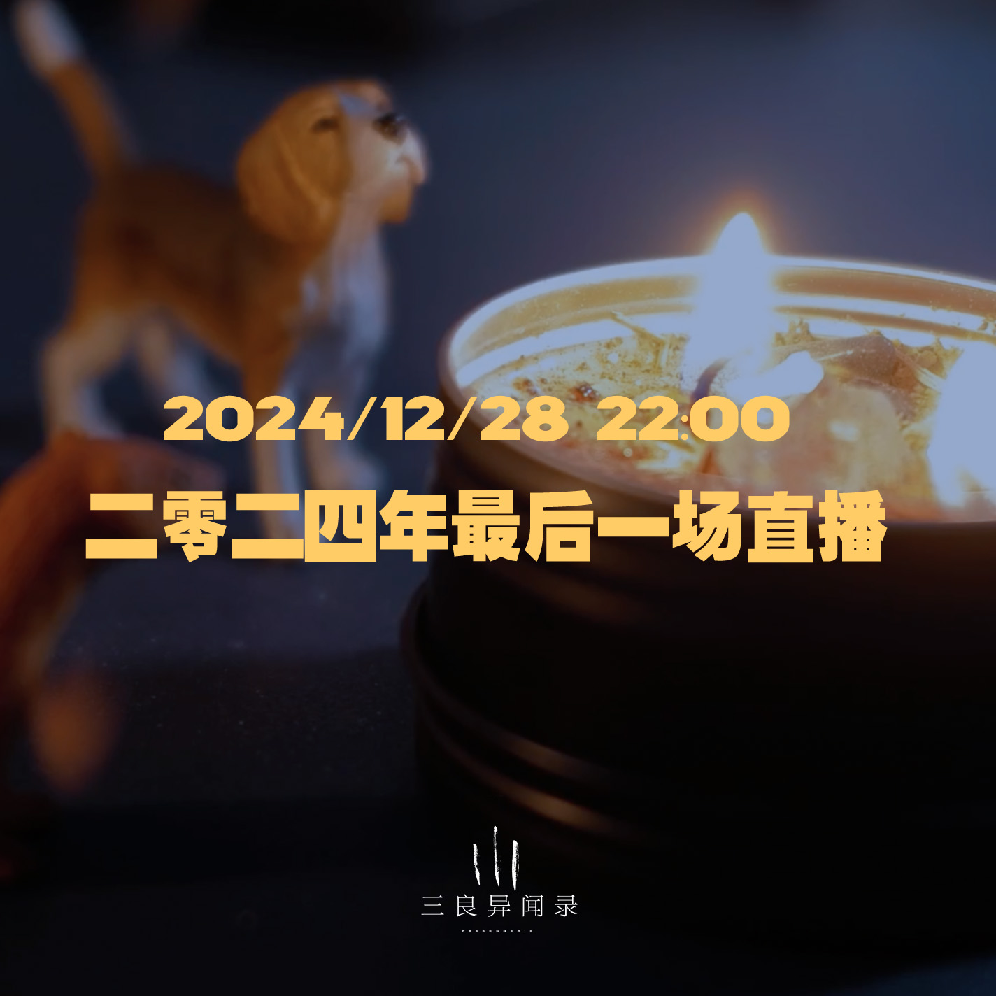 【直播回放】2024年最后一场直播回放 2024/12/28 episode artwork