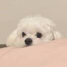 圆滚滚xyyyyy