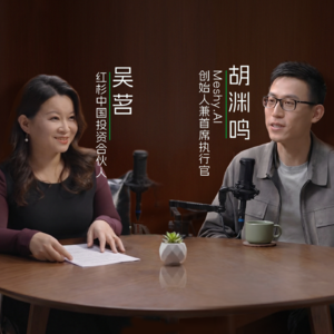 Meshy.AI胡渊鸣与红杉吴茗谈AI原生游戏、世界模型与PMF