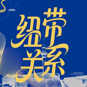 EP17|新西兰工程造价:站在资金与风险之间,看新西兰建筑行业