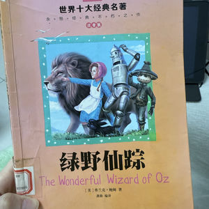 第四章，救助铁皮人