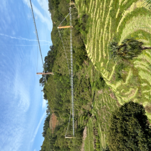 013 逆境破局:走过gap期的心路,敲开属于自己命运的那扇门