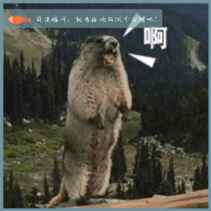 23.崩溃瞬间：就当给地板做个面膜吧！