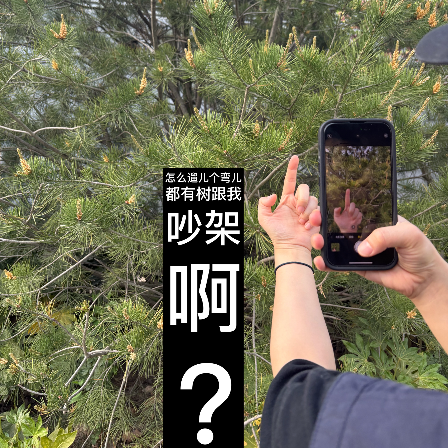 📸️42:宝贝,吵架你怎么不带方案就来了呀 episode artwork