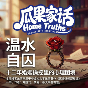 Vol.004 温水自囚:遭家暴12年起诉离婚为何被驳回?揭开婚姻操控里的心理困境