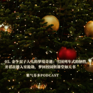 05. 金牛双子人儿的梦境奇遇：雪国列车式的牺牲，开着直播入室抢劫，梦回校园但课堂如天书