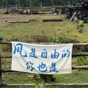 EP6外星人大战老登之我是大皇帝