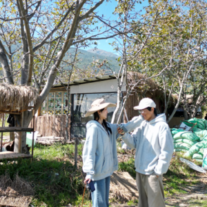 12. 小狗小猫谈恋爱1周年:在路上捡到彼此,Gap Year手牵手环球流浪6国40城