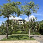 撒拉嘿哟的背后