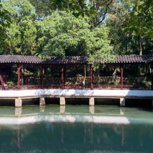 EP13 | 辩论队特辑：没有你们的世界枯燥而无情，日子漫长又难挨