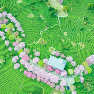 EP94 高频交易中的标签不平衡