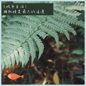 3.城市｜随机性是最大的浪漫