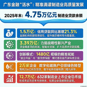 9、金融服务与制造业协同