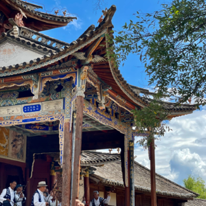 从柏林混子回归大理农民