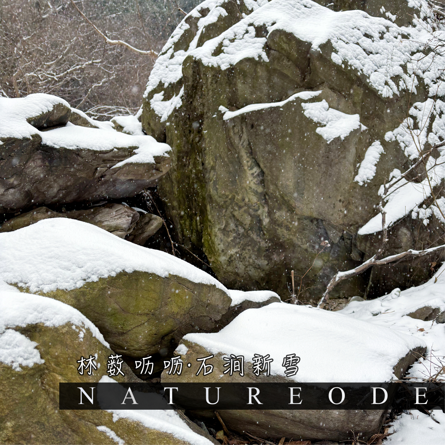 林薮呖呖·石涧新雪 episode artwork