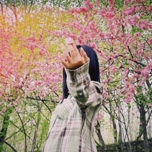 怎样找实习：说说我那些拿得出手的实习的背后