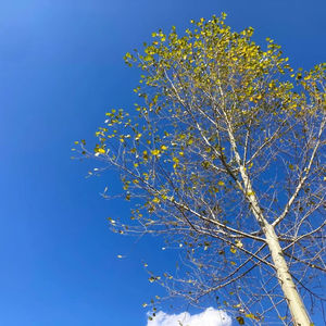 小朋友的写作课