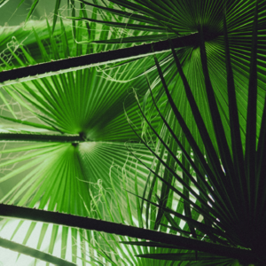 EP156 数值微积分与趋势检测