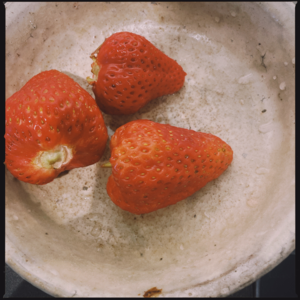 06.周末北京去哪里玩？第一期：朝阳公园