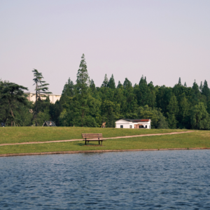 一起去散步，好吗？