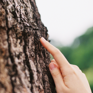 013 成为母亲的决定