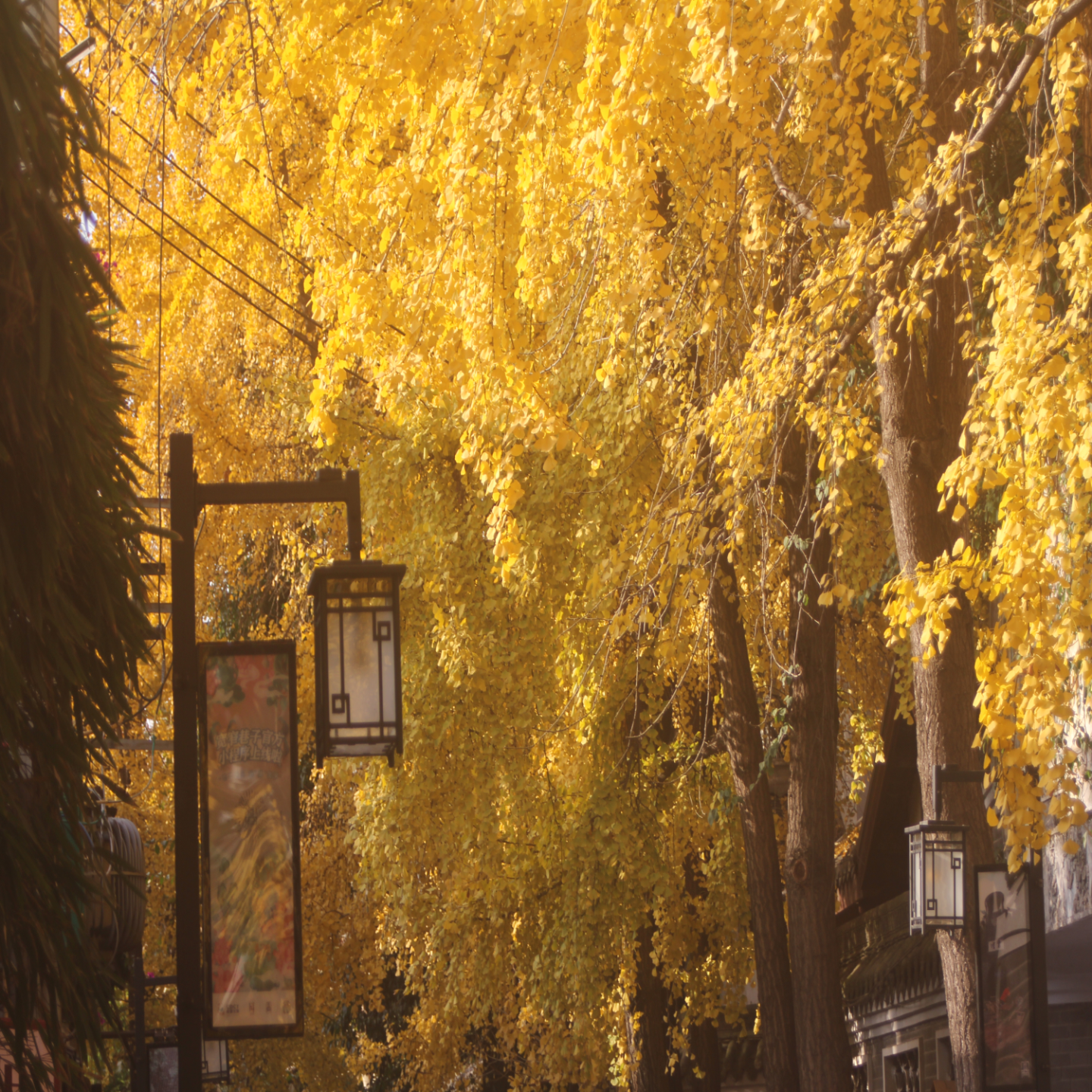 火车驶向云外，梦安魂于九霄