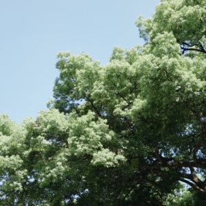我们能做的，唯有不断地完善自己