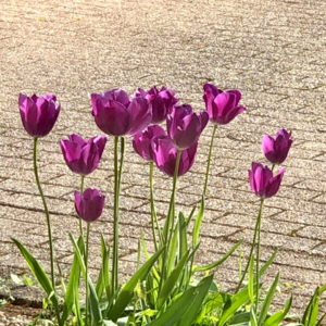 EP3. 成年人社交甄选，双倍快乐不止情绪价值