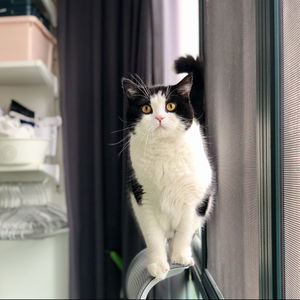 EP09.美股小白X博士人生首次实战,终于赚美金是什么感觉?