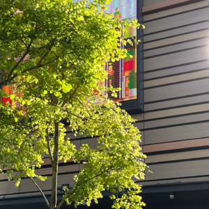 009｜让火光继续迸发