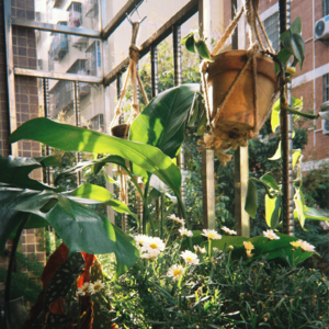 拯救低能量｜疗愈歌单分享