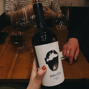 熊与树:星空下有酒,而你本就是所有(上集)