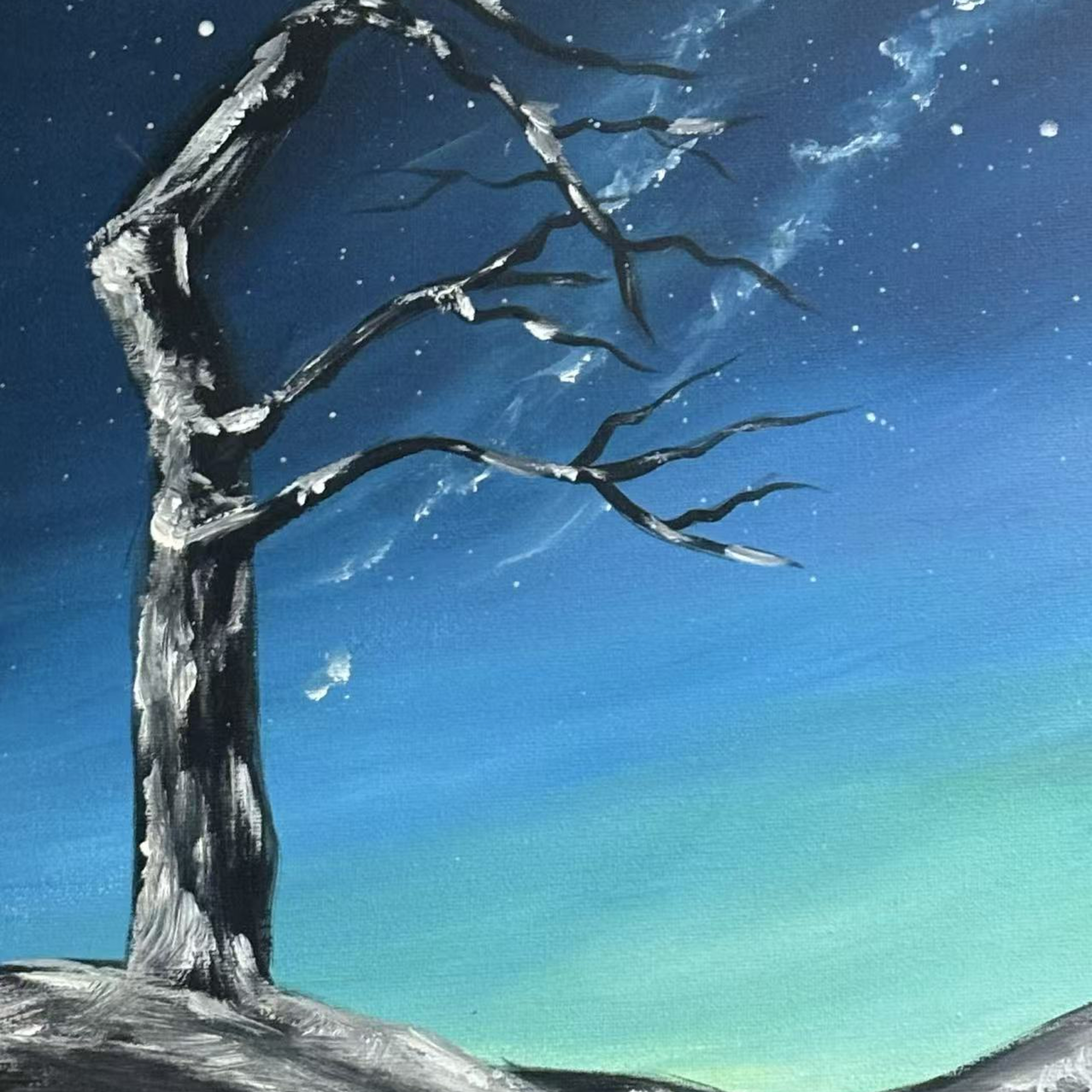 星夜对谈 podcast artwork