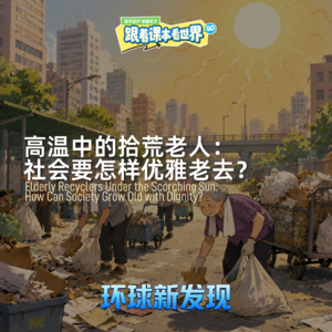 高温中的拾荒老人：社会要怎样优雅老去？ - 2026/08 第二周