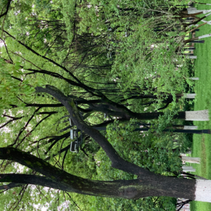 EP8 大专社畜对话研2学霸:读了研的人生会更美好吗？