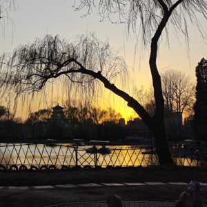 Ep.07 一一:打完这一架,我的新生活正式开始