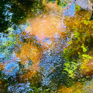 vol.01（下）林杉｜“接地气”的十年练习：美国文理学院毕业后的内在成长｜波士顿