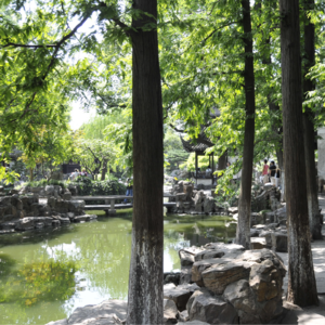 176 上海名园 豫园2