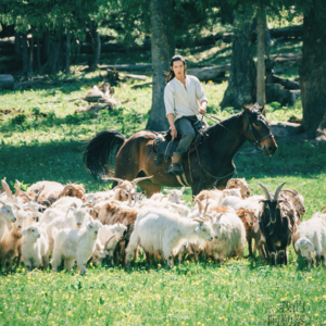 15.去阿勒泰旅行前,不如先听听当地人怎么说