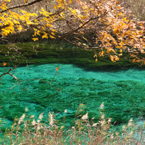 15. 2025:书影音回顾