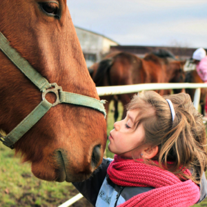 怀旧 or 落伍？为什么回忆车马慢的年代，尽是美好？