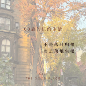 00后的纽约生活：不是落叶归根，而是落地生根 (feat. 赵雅洲) | S3E1