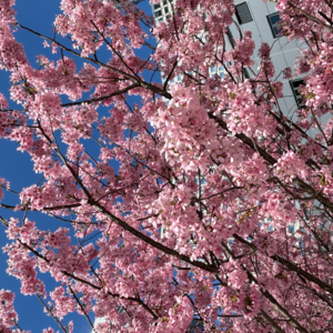 011 金三银四求职突围战｜放低预期是唯一出路？过往经验分散、不足的破局之道？