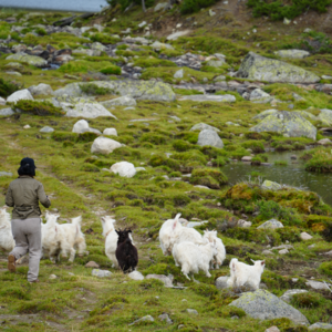 “我的阿勒泰”与我们的夏季北疆路线讨论